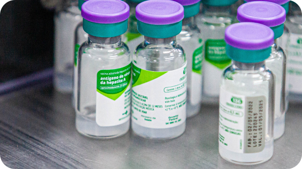 Descrição a imagem: foto de vários frascos de vidro da vacina "antígeno do vírus da hepatite A". Eles estão com líquido pela metade e possuem rótulos em verde e branco e tampas roxas. 